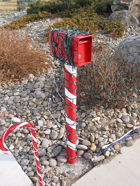 Donation box wrapped in lights